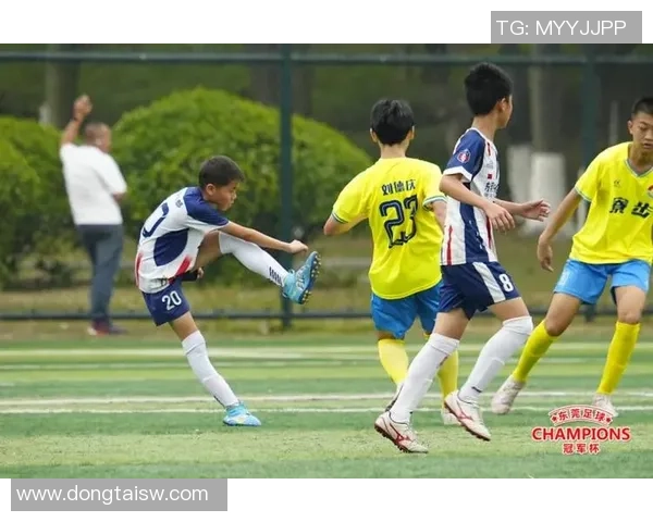 足球明星C的非凡历程与荣耀时刻回顾 解析其职业生涯的辉煌与挑战