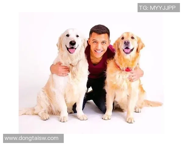 足球明星的爱犬背后故事揭秘 他们的宠物生活与球场精彩瞬间